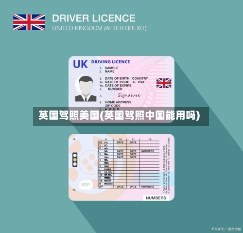 英国驾照美国(英国驾照中国能用吗)-第3张图片