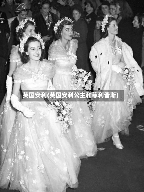 英国安利(英国安利公主和菲利普斯)