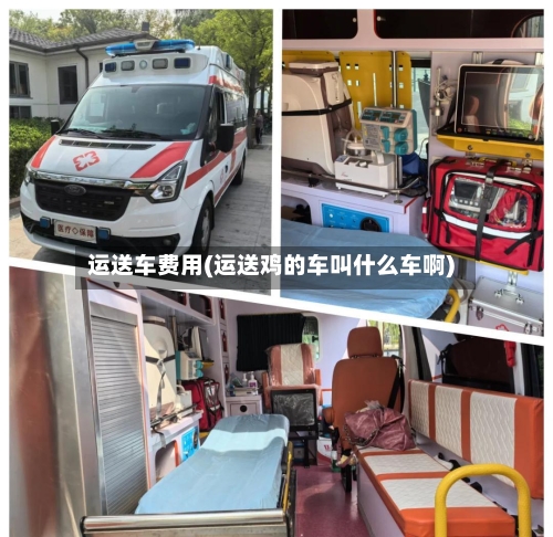 运送车费用(运送鸡的车叫什么车啊)-第2张图片