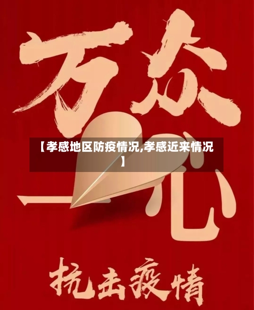 【孝感地区防疫情况,孝感近来情况】