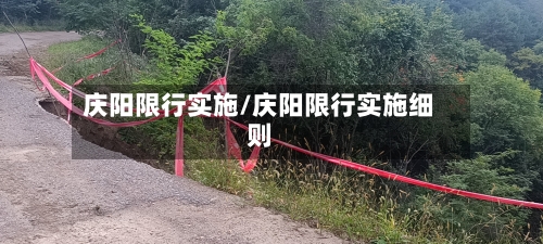 庆阳限行实施/庆阳限行实施细则-第2张图片