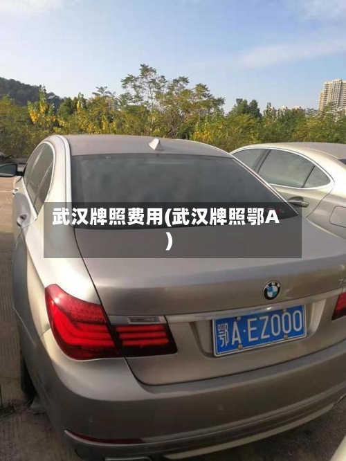 武汉牌照费用(武汉牌照鄂A)