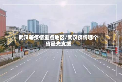 武汉等疫情重点地区/武汉疫情哪个省最先支援
