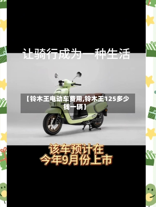 【铃木王电动车费用,铃木王125多少钱一辆】-第3张图片