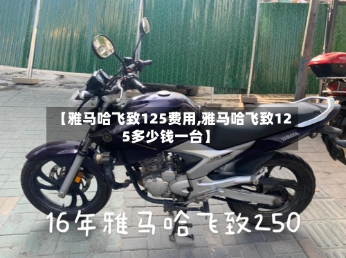 【雅马哈飞致125费用,雅马哈飞致125多少钱一台】