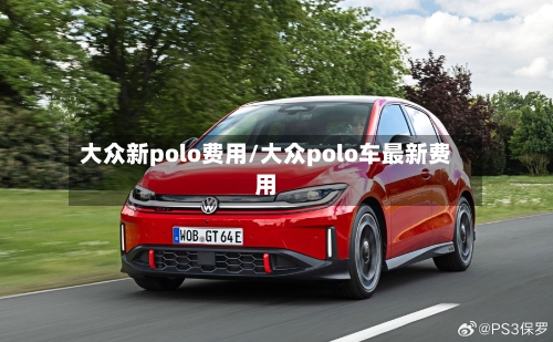 大众新polo费用/大众polo车最新费用-第3张图片