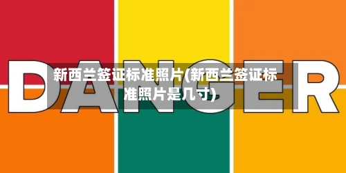 新西兰签证标准照片(新西兰签证标准照片是几寸)-第2张图片
