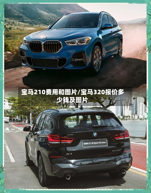宝马210费用和图片/宝马320报价多少钱及图片-第3张图片