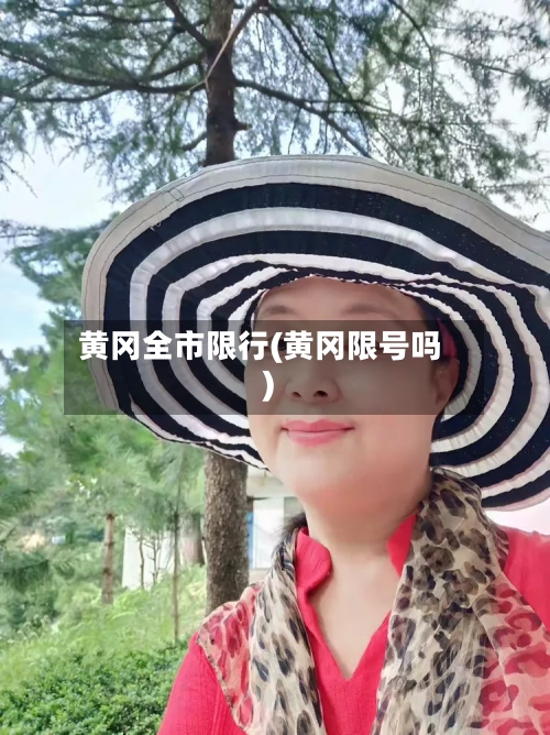 黄冈全市限行(黄冈限号吗)