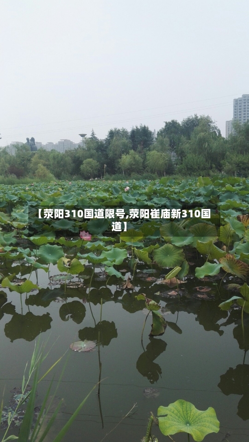 【荥阳310国道限号,荥阳崔庙新310国道】-第2张图片
