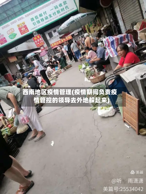 西南地区疫情管理(疫情期间负责疫情管控的领导去外地躲起来)-第2张图片