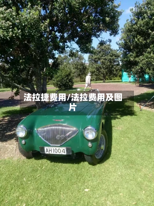 法拉捷费用/法拉费用及图片-第2张图片