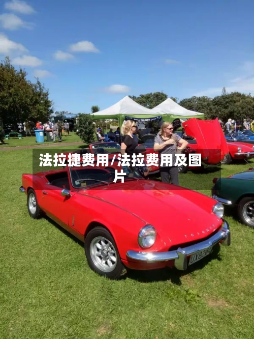 法拉捷费用/法拉费用及图片