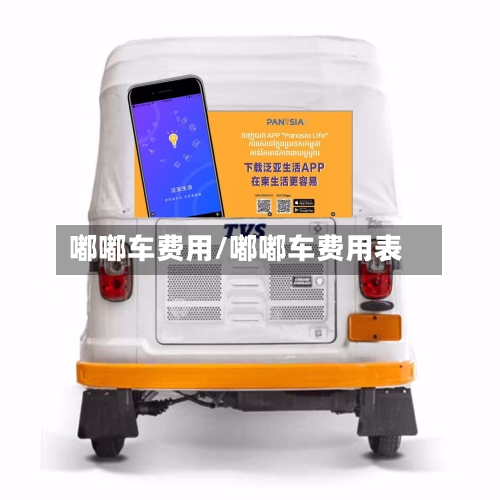 嘟嘟车费用/嘟嘟车费用表