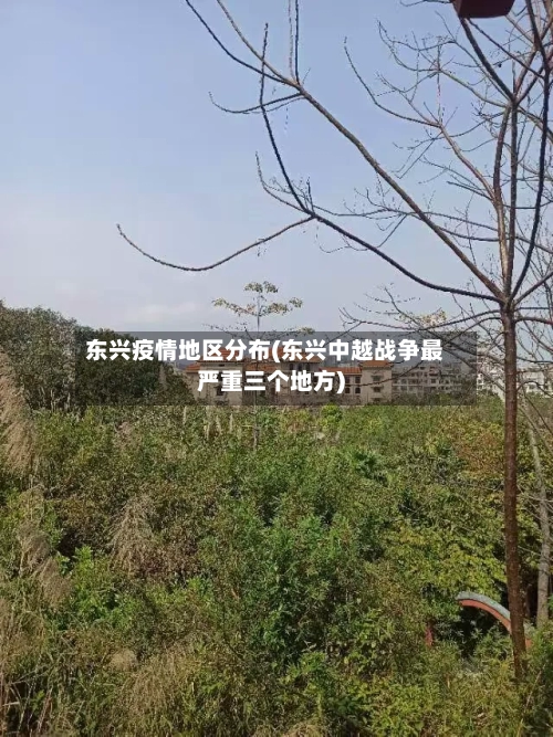 东兴疫情地区分布(东兴中越战争最严重三个地方)-第2张图片