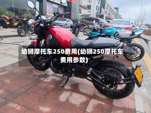 幼狮摩托车250费用(幼狮250摩托车费用参数)