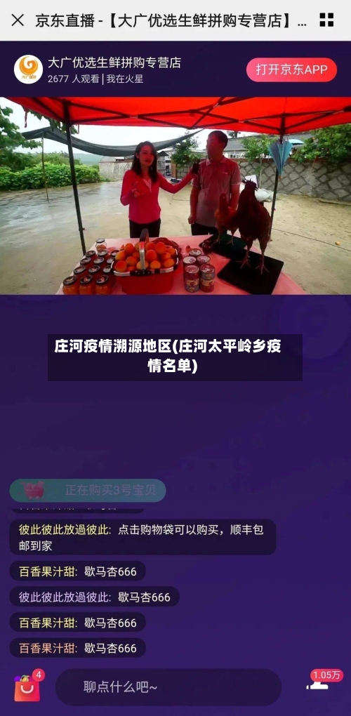 庄河疫情溯源地区(庄河太平岭乡疫情名单)-第2张图片