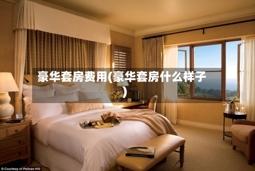 豪华套房费用(豪华套房什么样子)-第2张图片