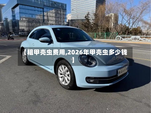 【租甲壳虫费用,2026年甲壳虫多少钱】-第2张图片