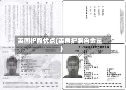英国护照优点(英国护照含金量)-第2张图片