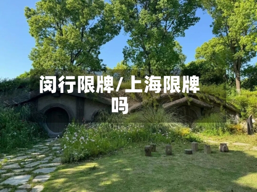 闵行限牌/上海限牌吗