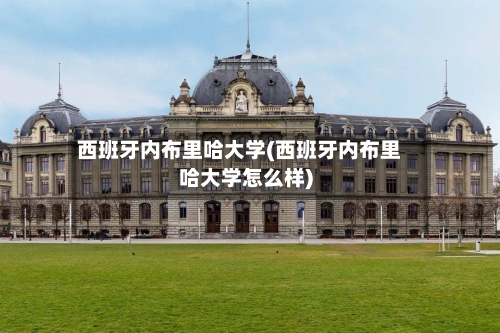 西班牙内布里哈大学(西班牙内布里哈大学怎么样)