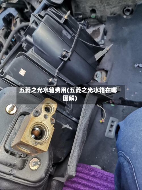 五菱之光水箱费用(五菱之光水箱在哪图解)