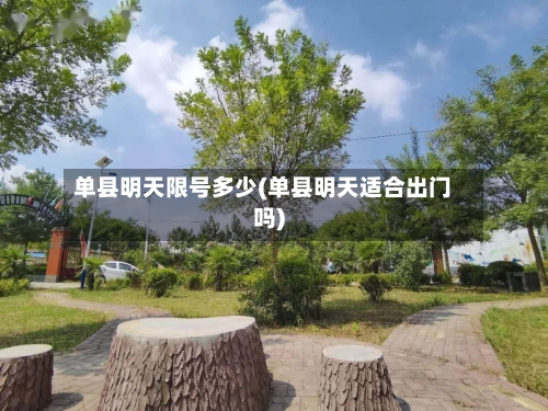 单县明天限号多少(单县明天适合出门吗)-第2张图片