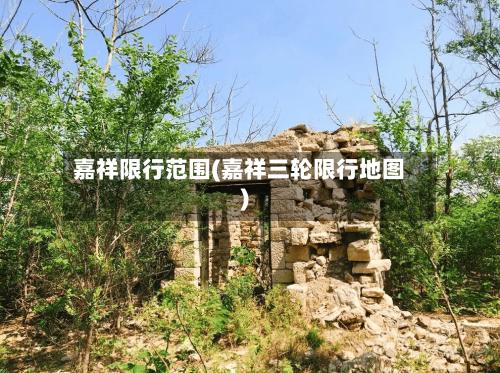 嘉祥限行范围(嘉祥三轮限行地图)
