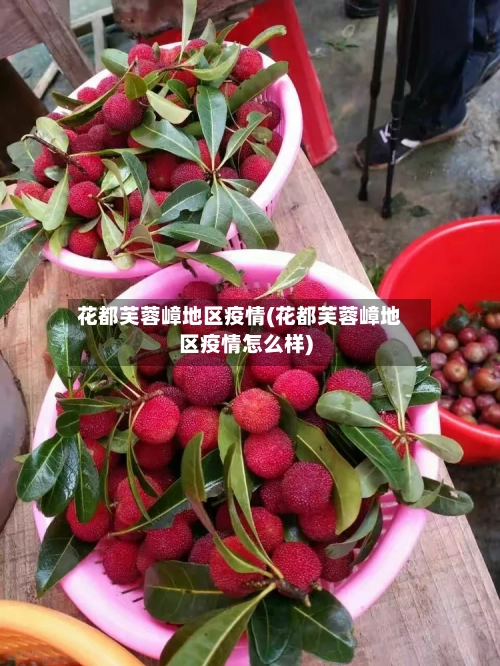 花都芙蓉嶂地区疫情(花都芙蓉嶂地区疫情怎么样)