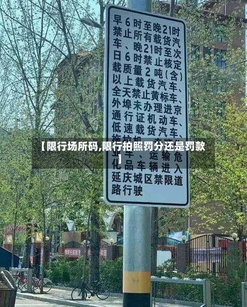 【限行场所码,限行拍照罚分还是罚款】-第2张图片