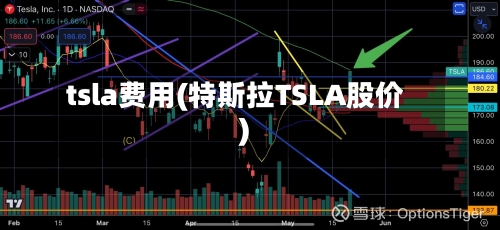 tsla费用(特斯拉TSLA股价)