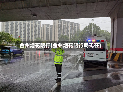金州烟花限行(金州烟花限行吗现在)