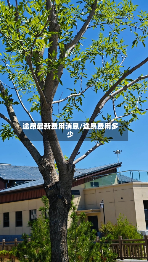 途昂最新费用消息/途昂费用多少-第2张图片