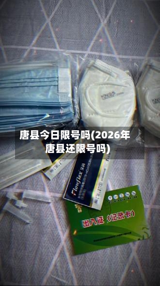 唐县今日限号吗(2026年唐县还限号吗)-第2张图片