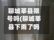聊城莘县限号吗(聊城莘县下雨了吗今天)-第3张图片