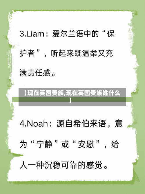 【现在英国贵族,现在英国贵族姓什么】-第2张图片