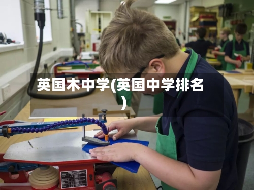 英国木中学(英国中学排名)-第3张图片