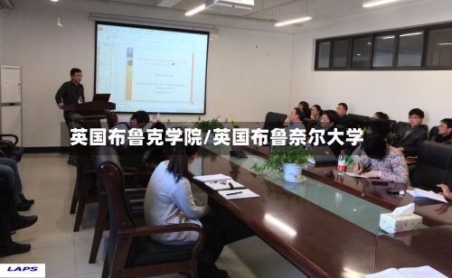 英国布鲁克学院/英国布鲁奈尔大学-第3张图片