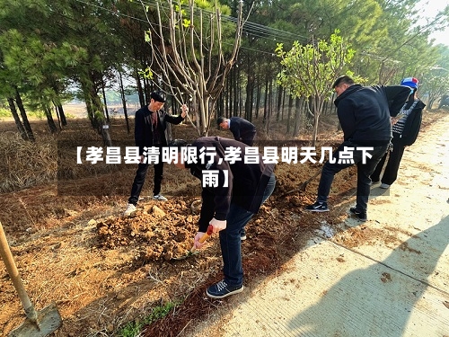 【孝昌县清明限行,孝昌县明天几点下雨】-第2张图片