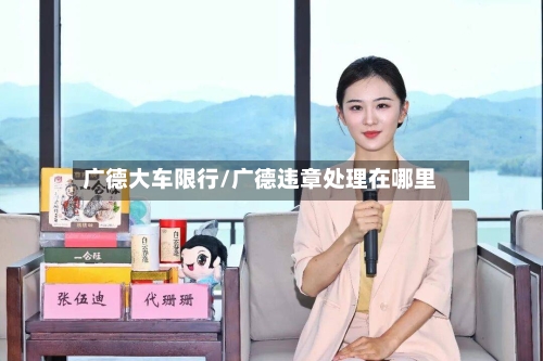 广德大车限行/广德违章处理在哪里-第3张图片