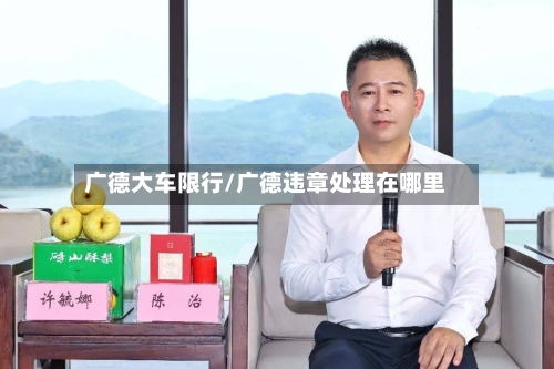 广德大车限行/广德违章处理在哪里-第2张图片