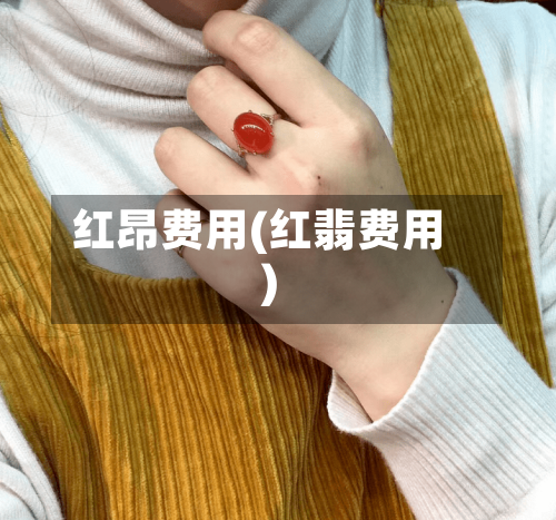 红昂费用(红翡费用)