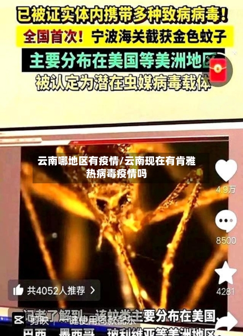 云南哪地区有疫情/云南现在有肯雅热病毒疫情吗