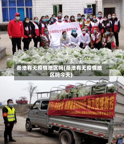岳池有无疫情地区吗(岳池有无疫情地区吗今天)-第3张图片