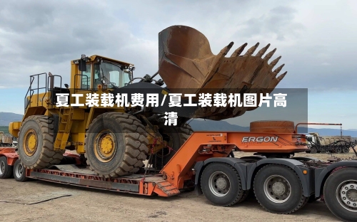 夏工装载机费用/夏工装载机图片高清
