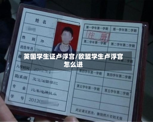 英国学生证卢浮宫/欧盟学生卢浮宫怎么进-第2张图片