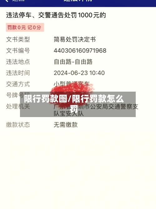 限行罚款图/限行罚款怎么罚