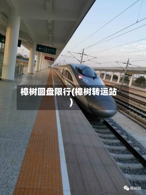 樟树圆盘限行(樟树转运站)