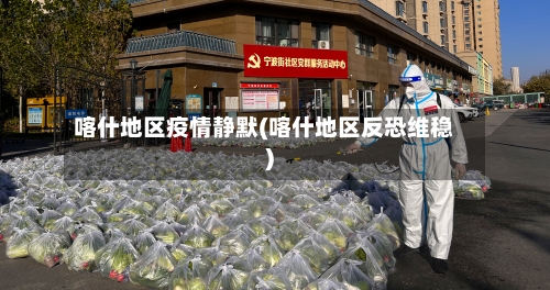 喀什地区疫情静默(喀什地区反恐维稳)